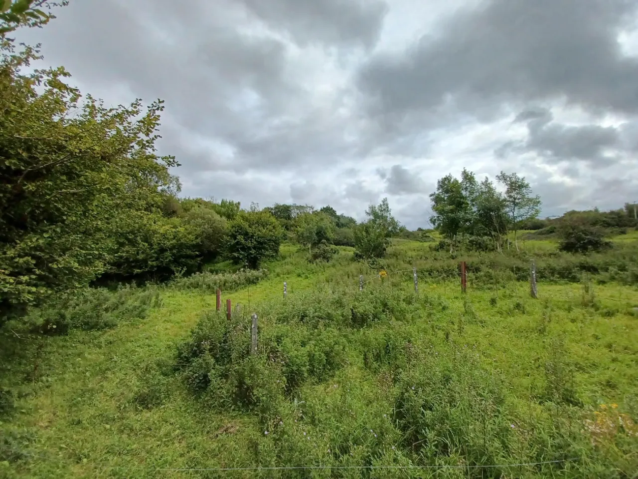 Photo of Mountsilk, Moylough, Co. Galway, H53 WD80