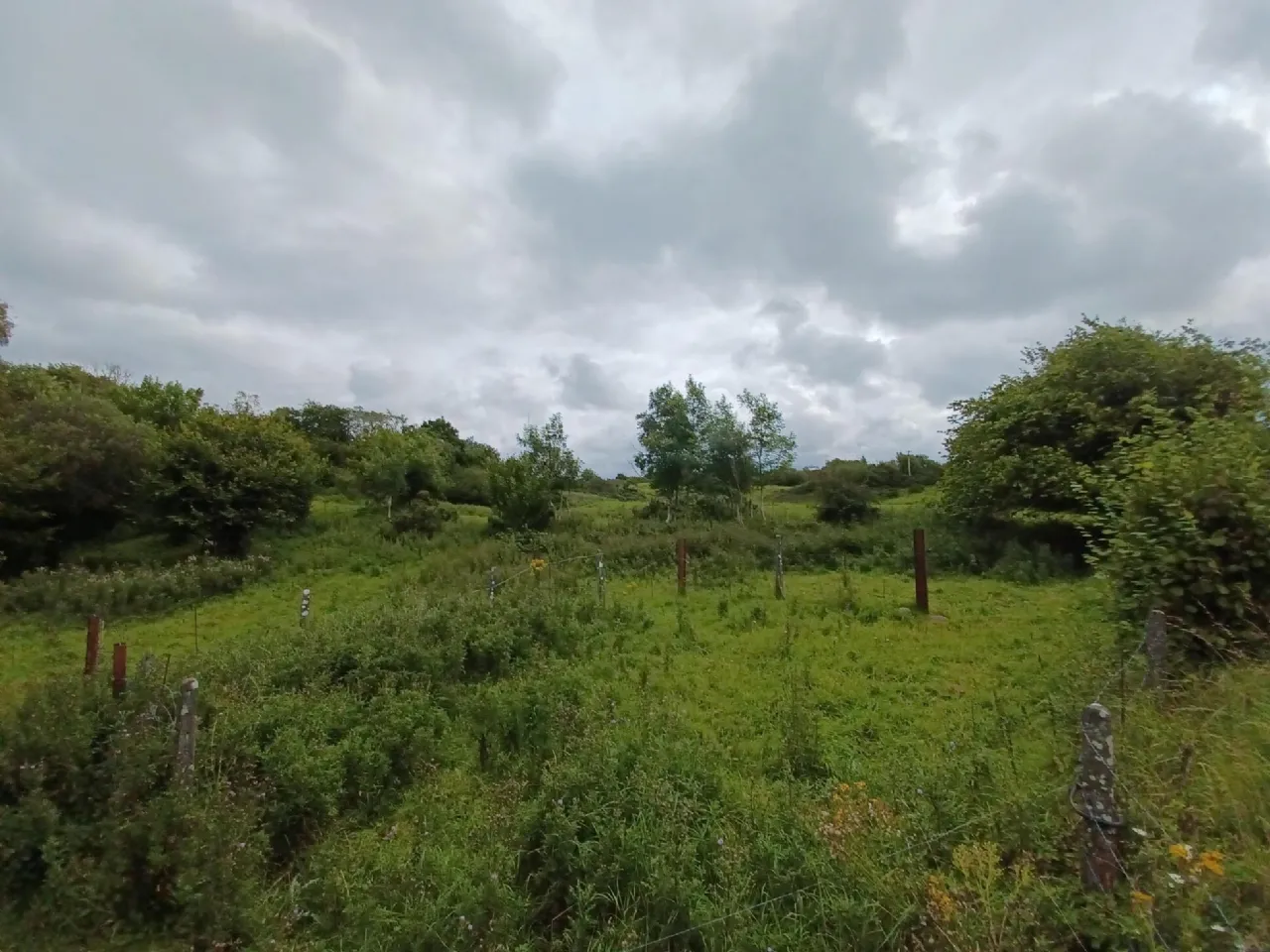 Photo of Mountsilk, Moylough, Co. Galway, H53 WD80