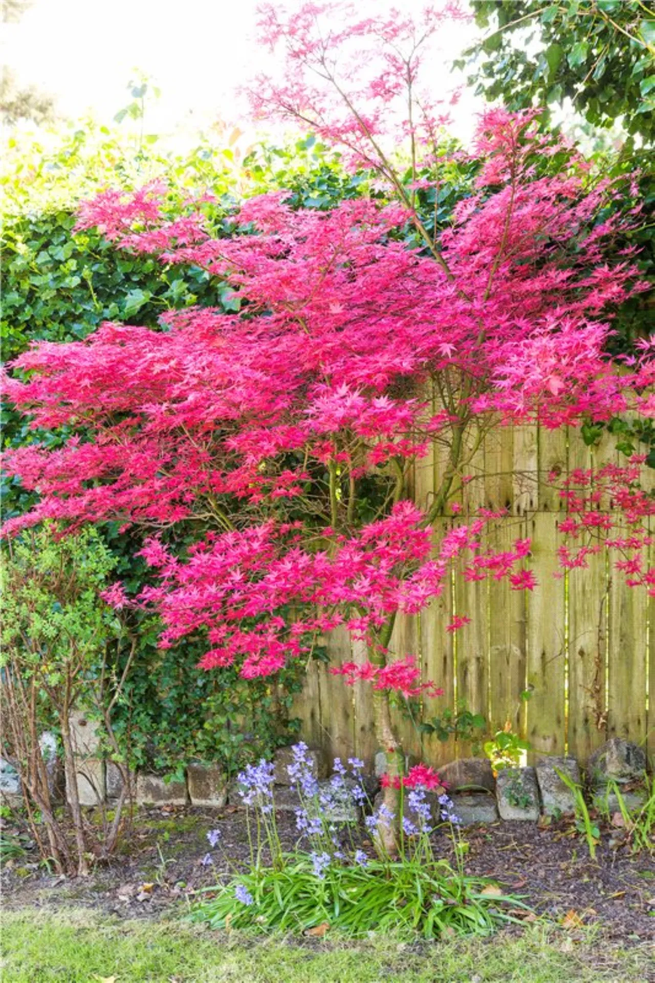 Photo of 23 Greygates, Mount Merrion, Co. Dublin