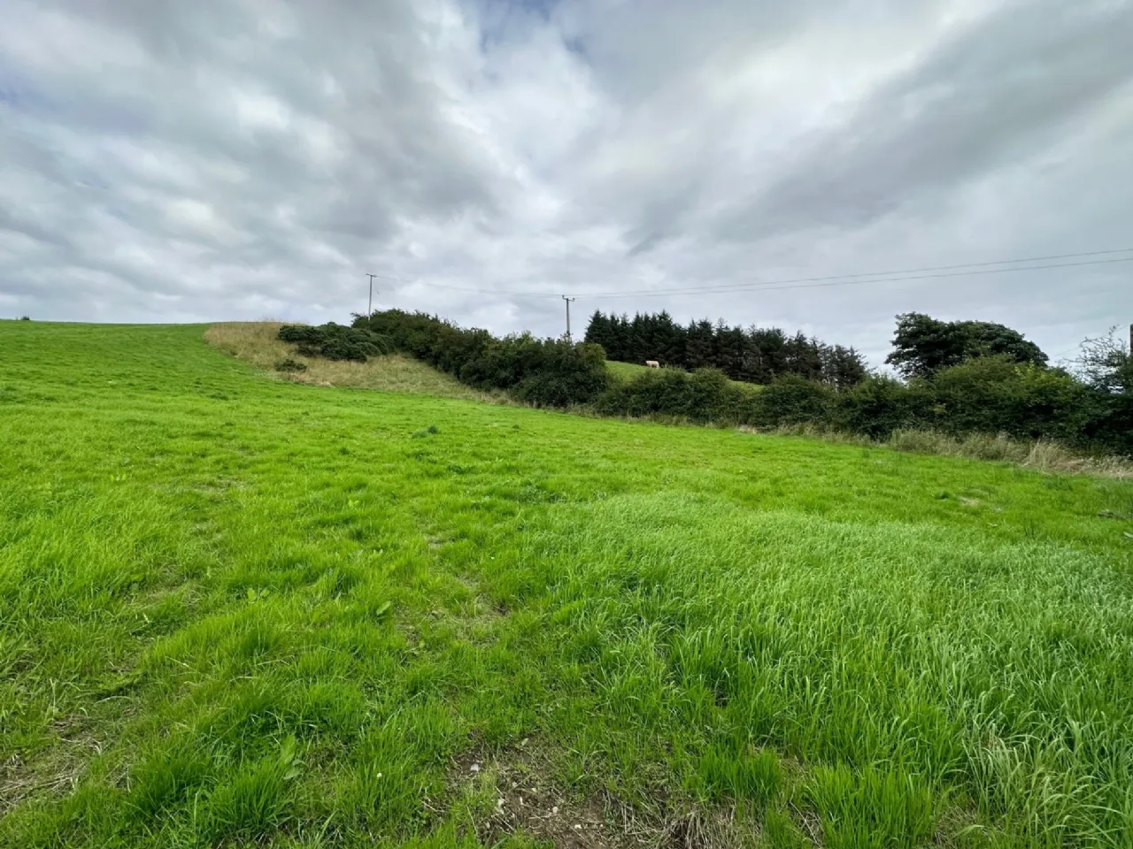 Photo of Coolmannan Lands,, Doohamlet,, Castleblayney,, Co. Monaghan