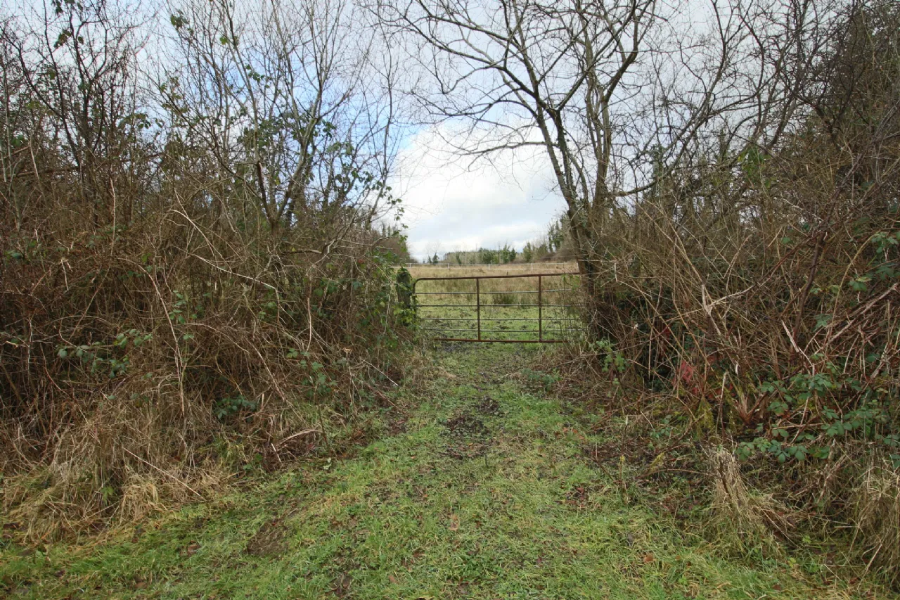 Photo of Lisduff, Carrick-On-Shannon, Co. Leitrim