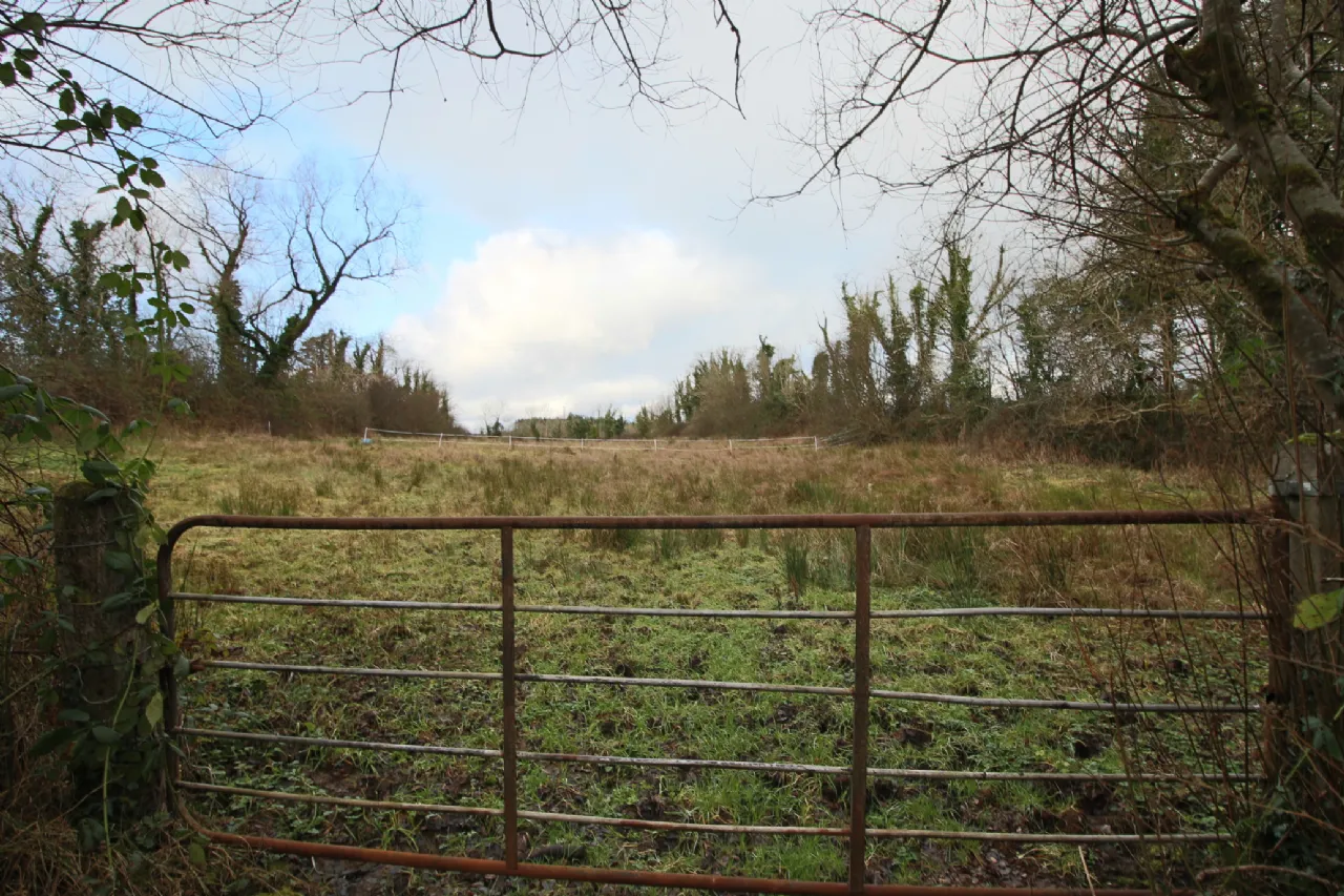 Photo of Lisduff, Carrick-On-Shannon, Co. Leitrim