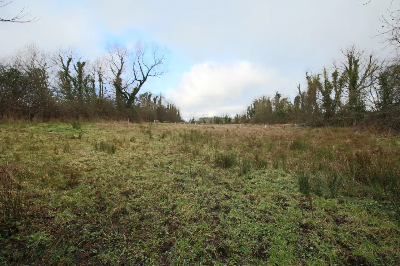 Photo of Lisduff, Carrick-On-Shannon, Co. Leitrim