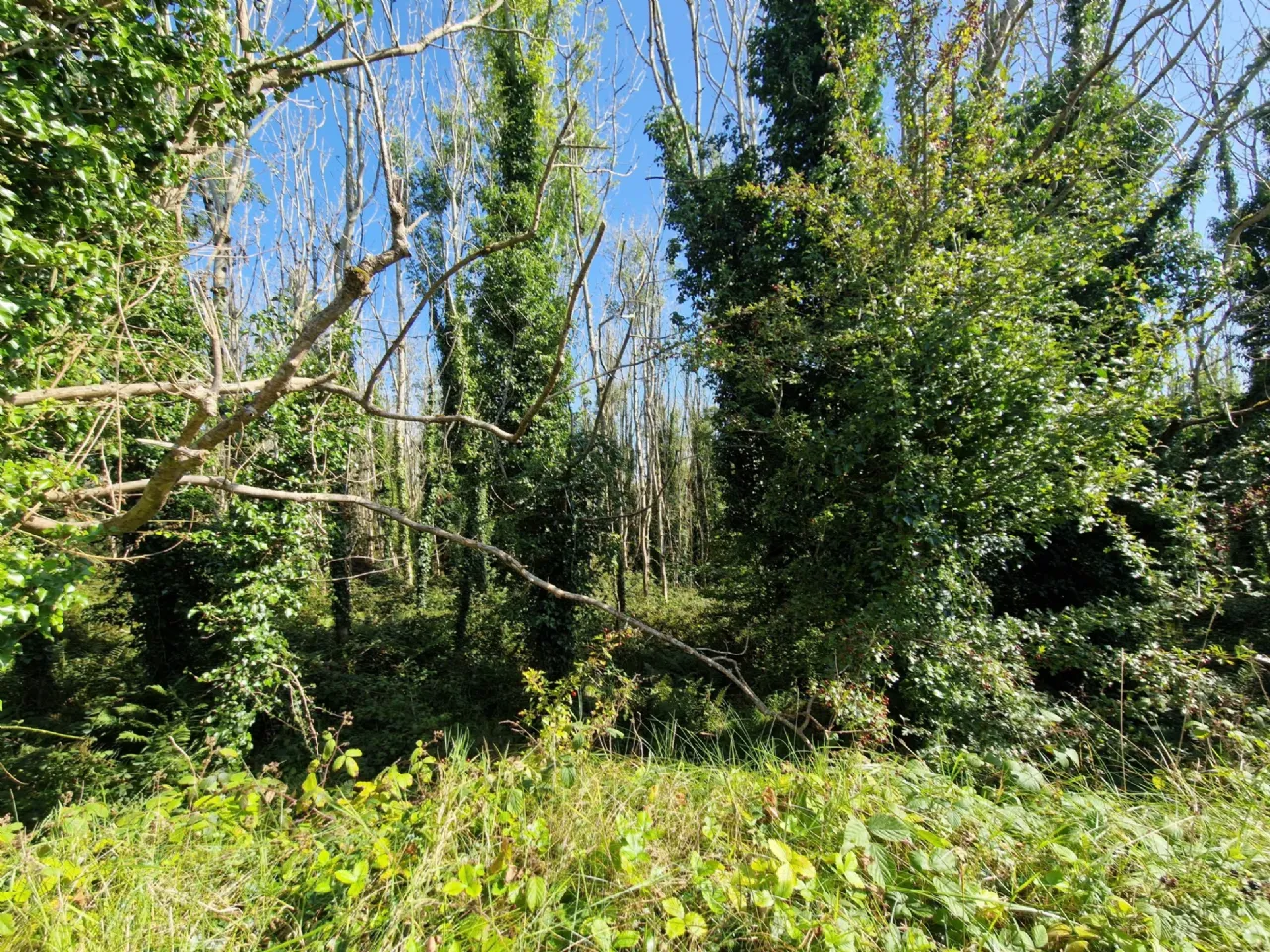 Photo of Logcurragh, Swinford, Co. Mayo