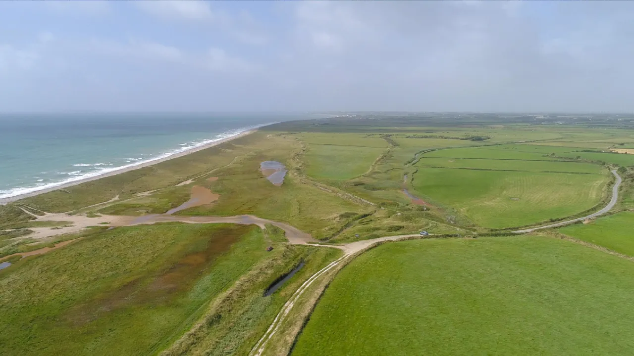 Photo of Ringbawn/Ballagh Land (132.5 Acres), Tacumshane, Co Wexford