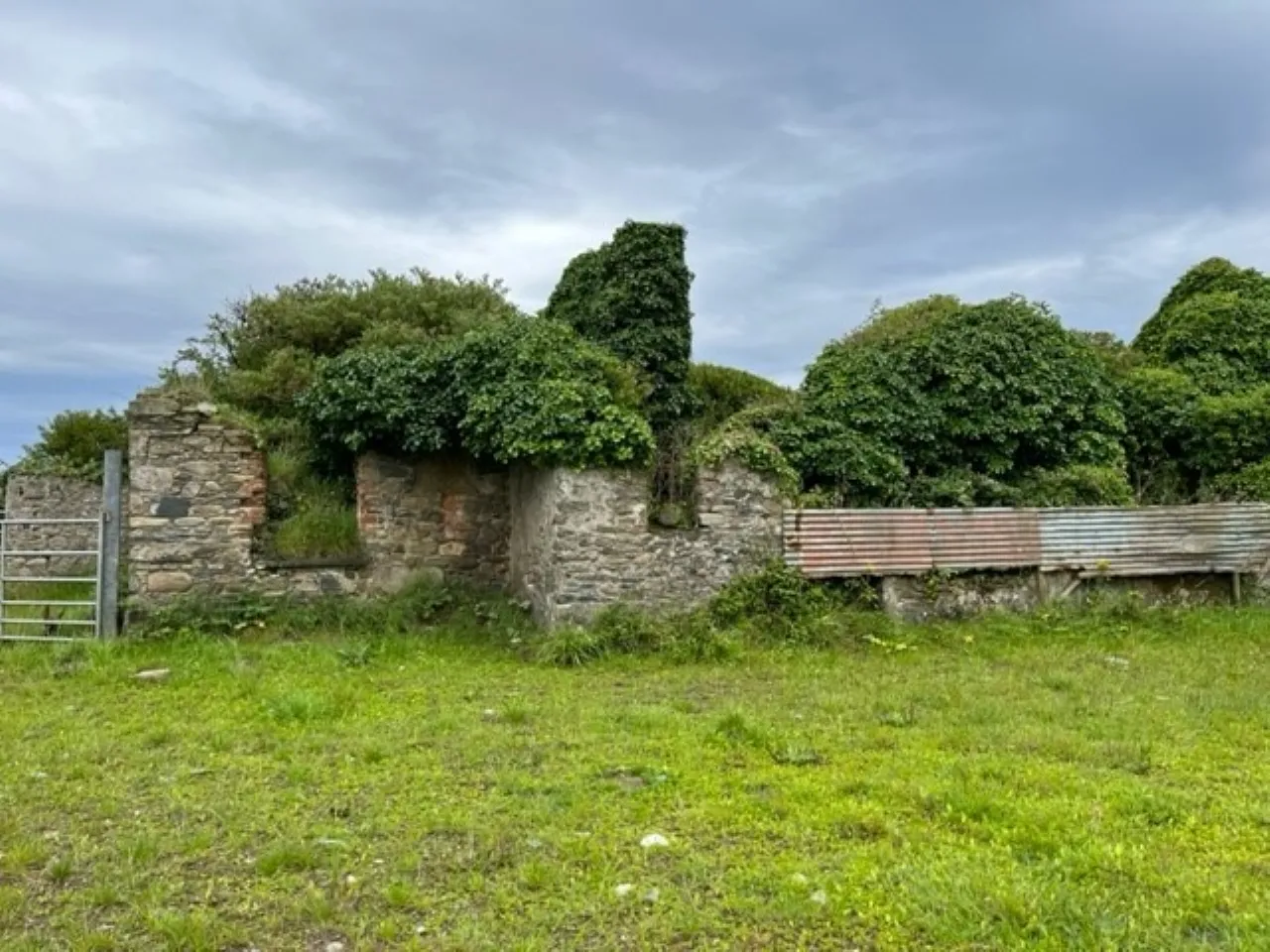 Photo of Ringbawn/Ballagh Land (132.5 Acres), Tacumshane, Co Wexford