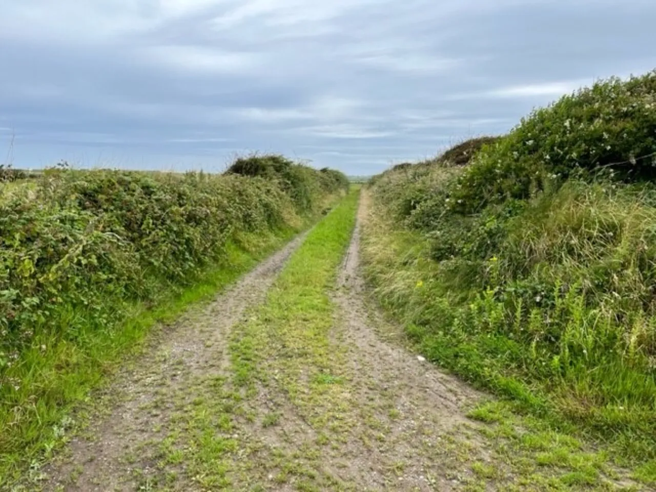 Photo of Ringbawn/Ballagh Land (132.5 Acres), Tacumshane, Co Wexford