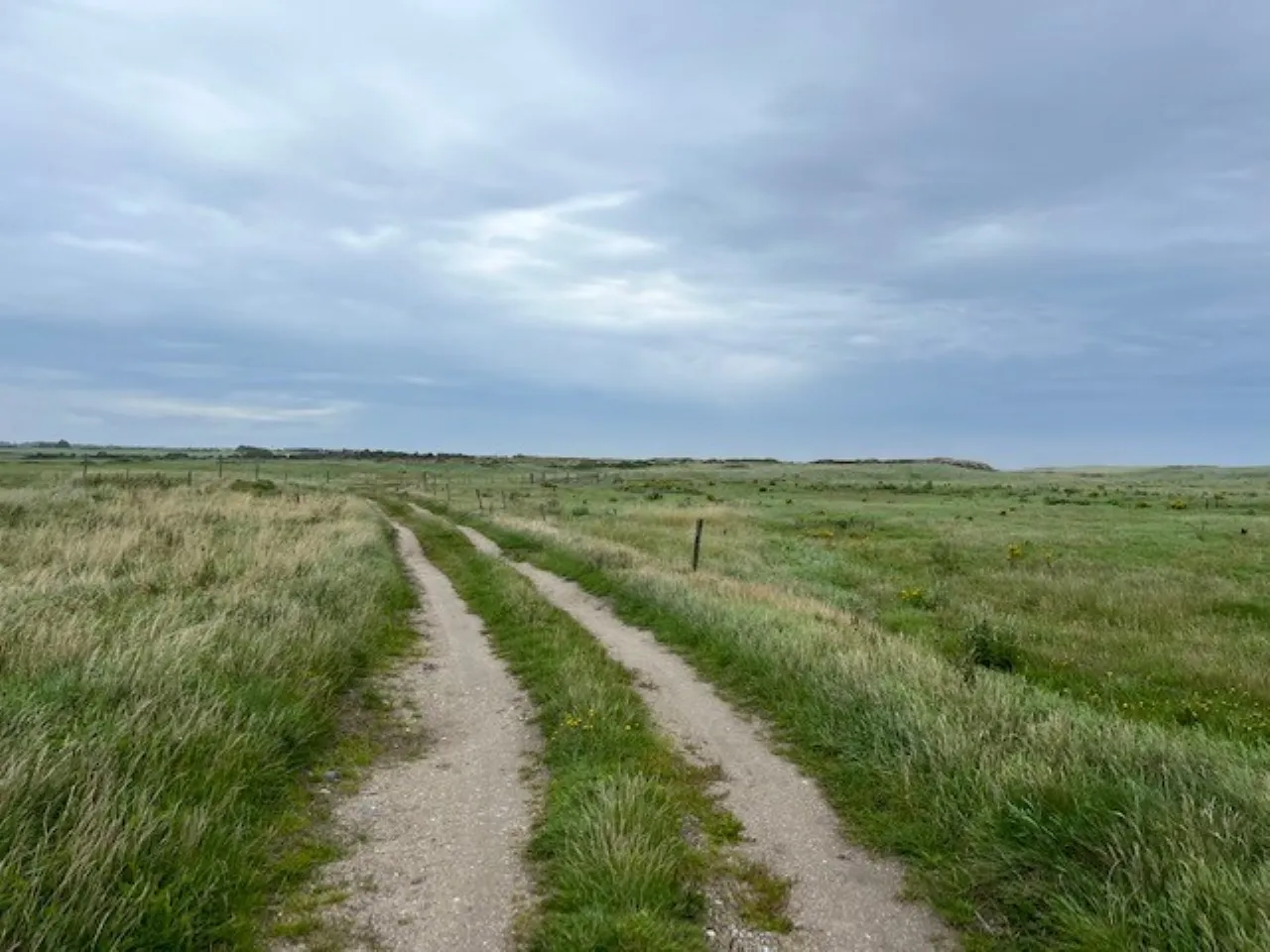 Photo of Ringbawn/Ballagh Land (132.5 Acres), Tacumshane, Co Wexford