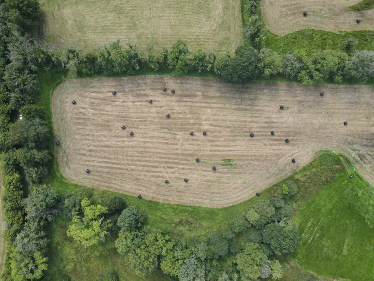 Photo of Caldragh, Carrick-On-Shannon, Co. Leitrim