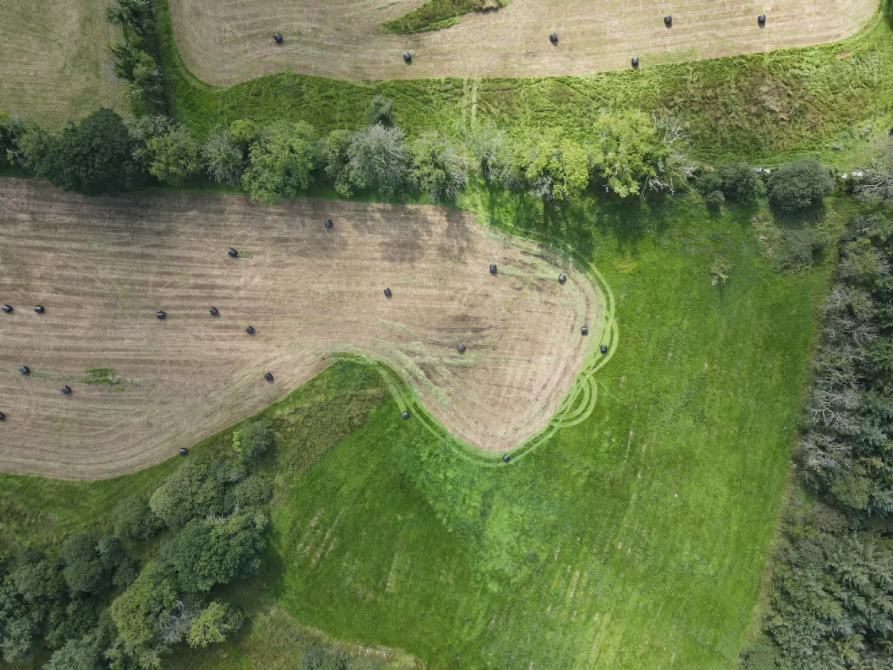 Photo of Caldragh, Carrick-On-Shannon, Co. Leitrim