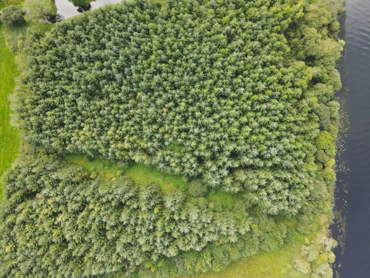 Photo of Caldragh, Carrick-On-Shannon, Co. Leitrim