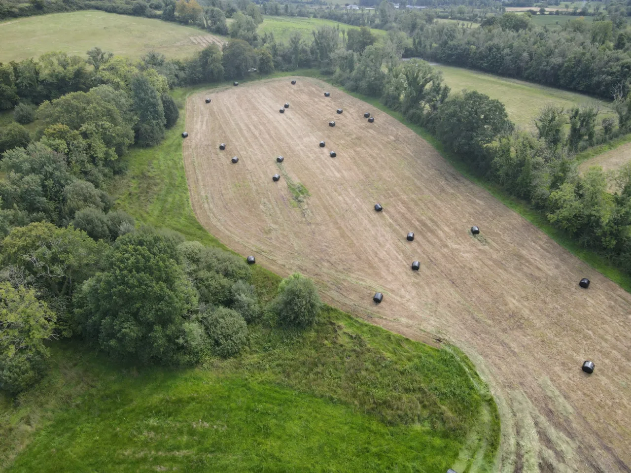 Photo of Caldragh, Carrick-On-Shannon, Co. Leitrim