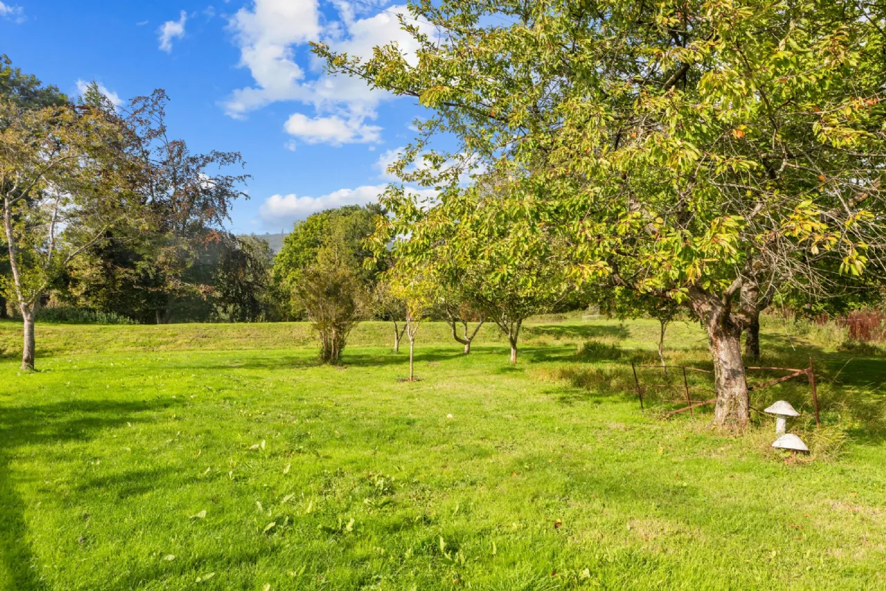 Photo of Mill House, Enniskerry Road, Kilternan, Dublin 18, D18 XY67