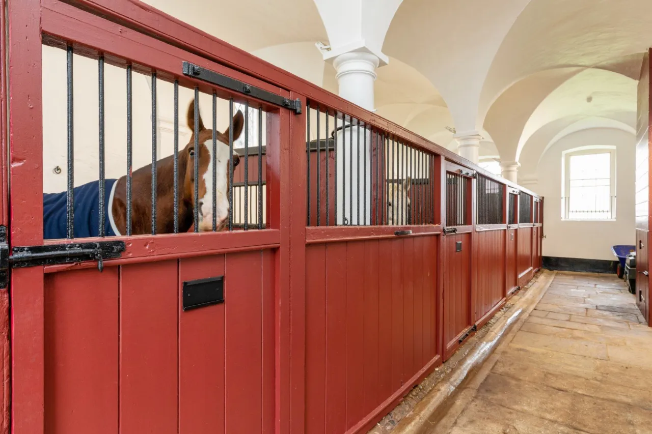 Photo of Ardbraccan House, Ardbraccan, Navan, County Meath, C15W8C0
