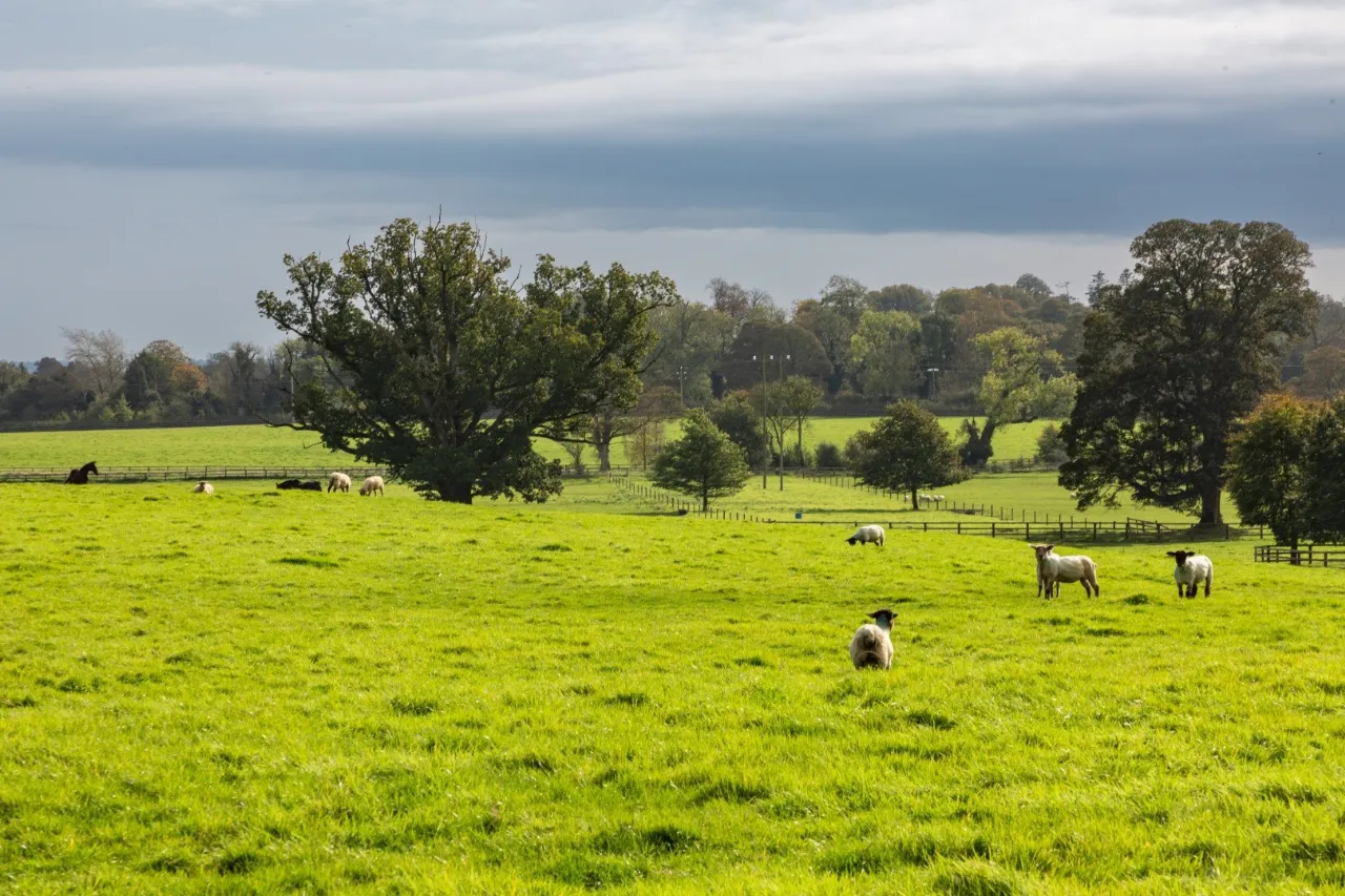 Photo of Ardbraccan House, Ardbraccan, Navan, County Meath, C15W8C0