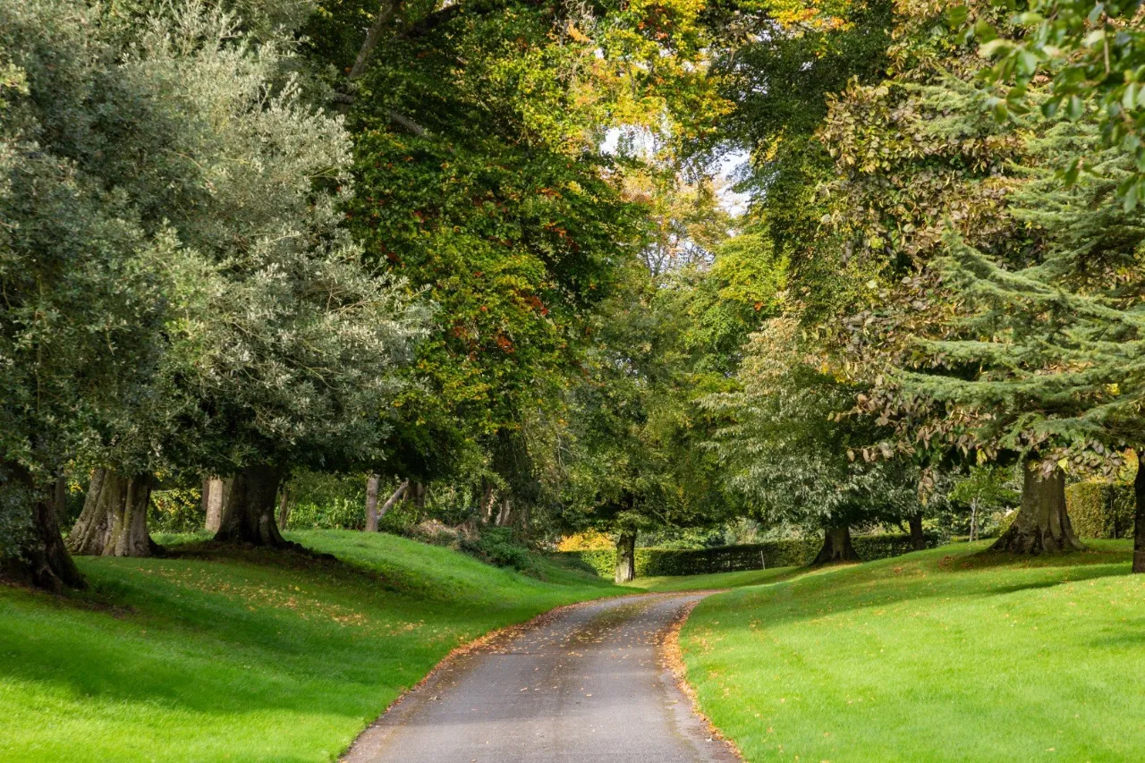 Photo of Ardbraccan House, Ardbraccan, Navan, County Meath, C15W8C0
