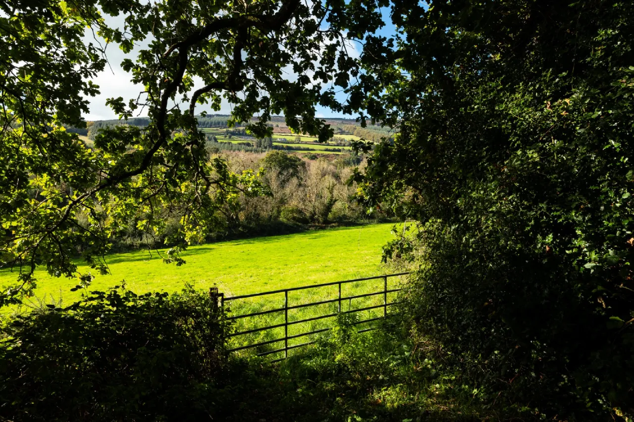 Photo of Brandon View, St. Mullin's, Co. Carlow, R95 H2A0