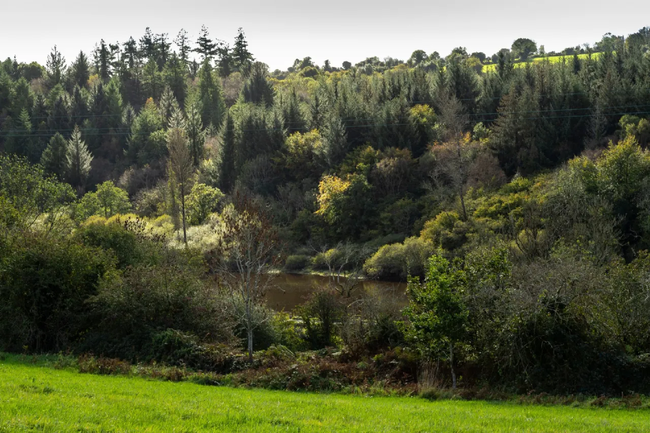 Photo of Brandon View, St. Mullin's, Co. Carlow, R95 H2A0