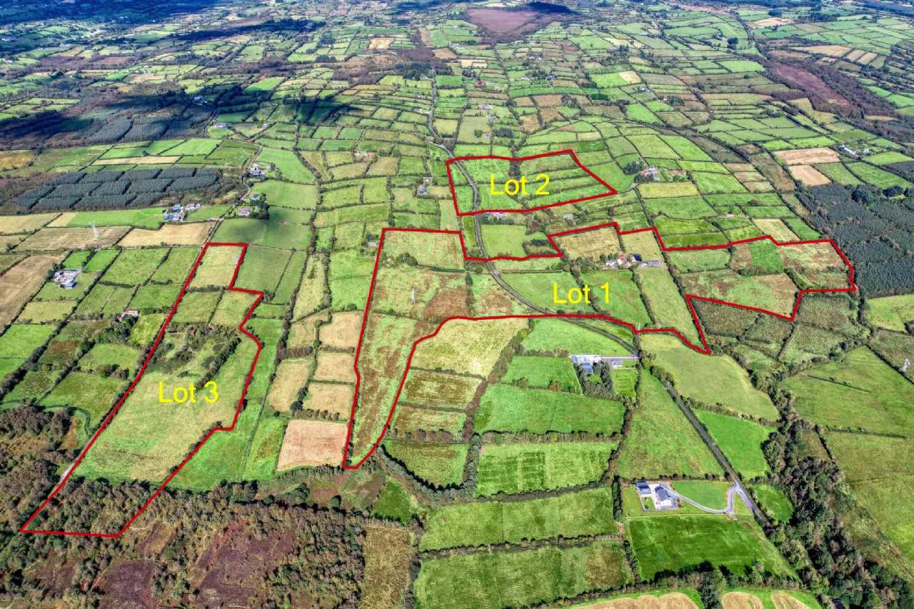 Photo of Lot 1 - House On 1 Hectare, Killyvehy, Cloone, Co. Leitrim, N41 PE03