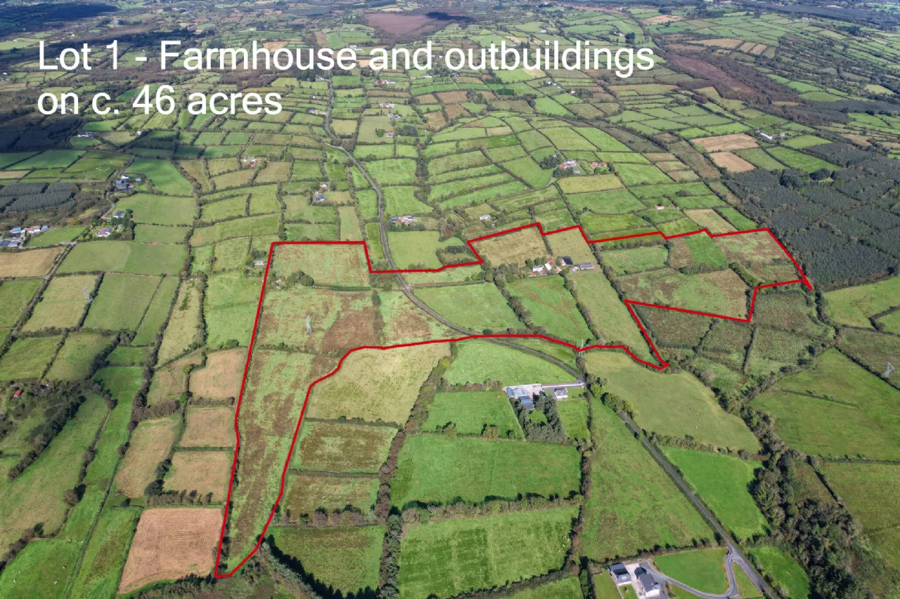 Photo of Lot 1 - House On 1 Hectare, Killyvehy, Cloone, Co. Leitrim, N41 PE03