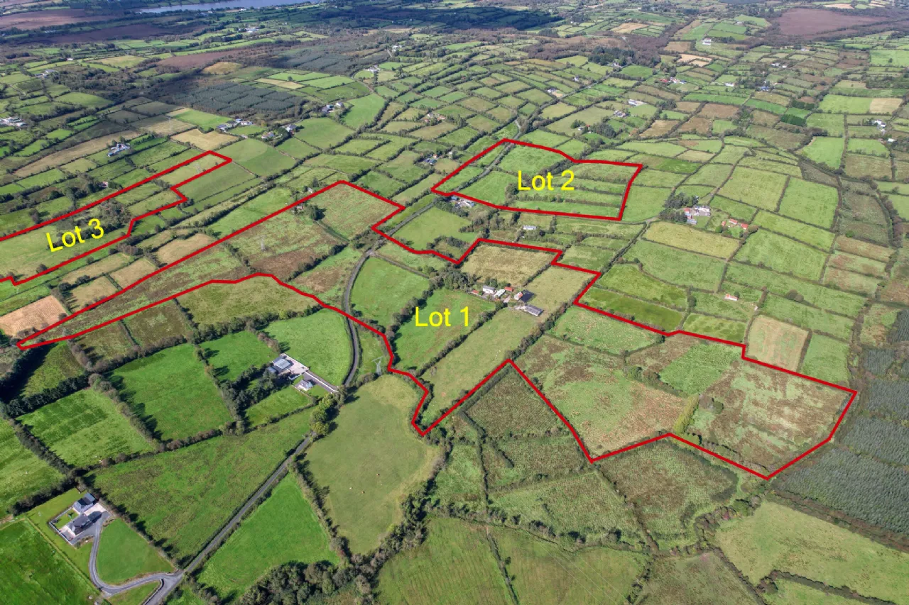 Photo of Lot 1 - House On 1 Hectare, Killyvehy, Cloone, Co. Leitrim, N41 PE03