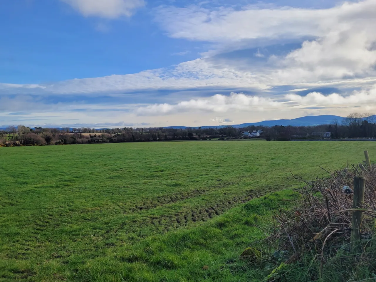 Photo of Site B, .50 Acre Site Newtown, Newtown,, Fenagh,, Co. Carlow