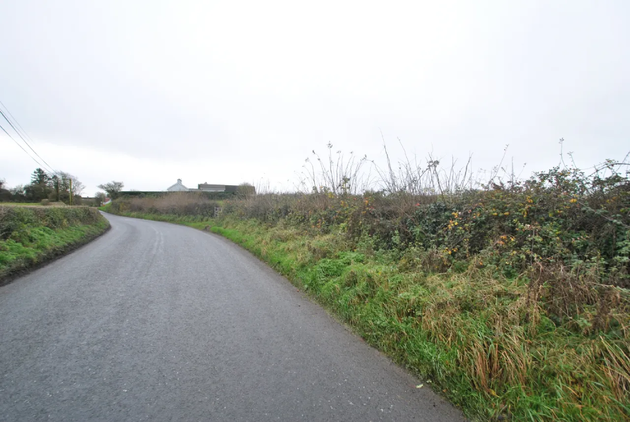 Photo of Whitepark, Approx. 6.29 Hectares / 15.54 Acres, Roscrea, Co. Tipperary