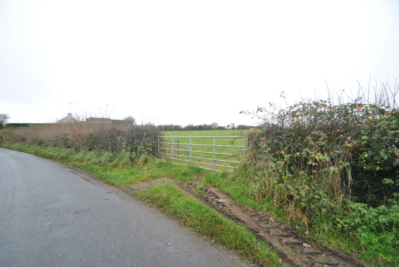 Photo of Whitepark, Approx. 6.29 Hectares / 15.54 Acres, Roscrea, Co. Tipperary