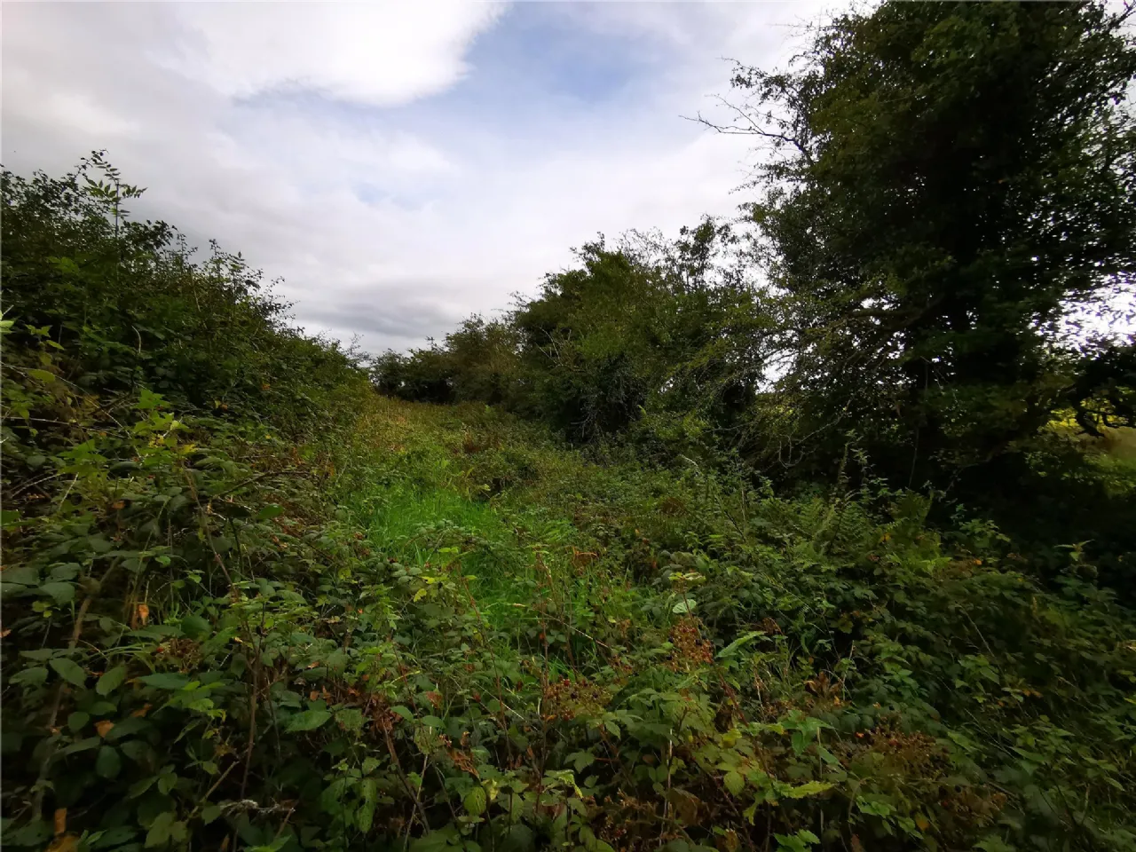 Photo of Knockbrack, Knocknagoshel, Co Kerry, V92 X437