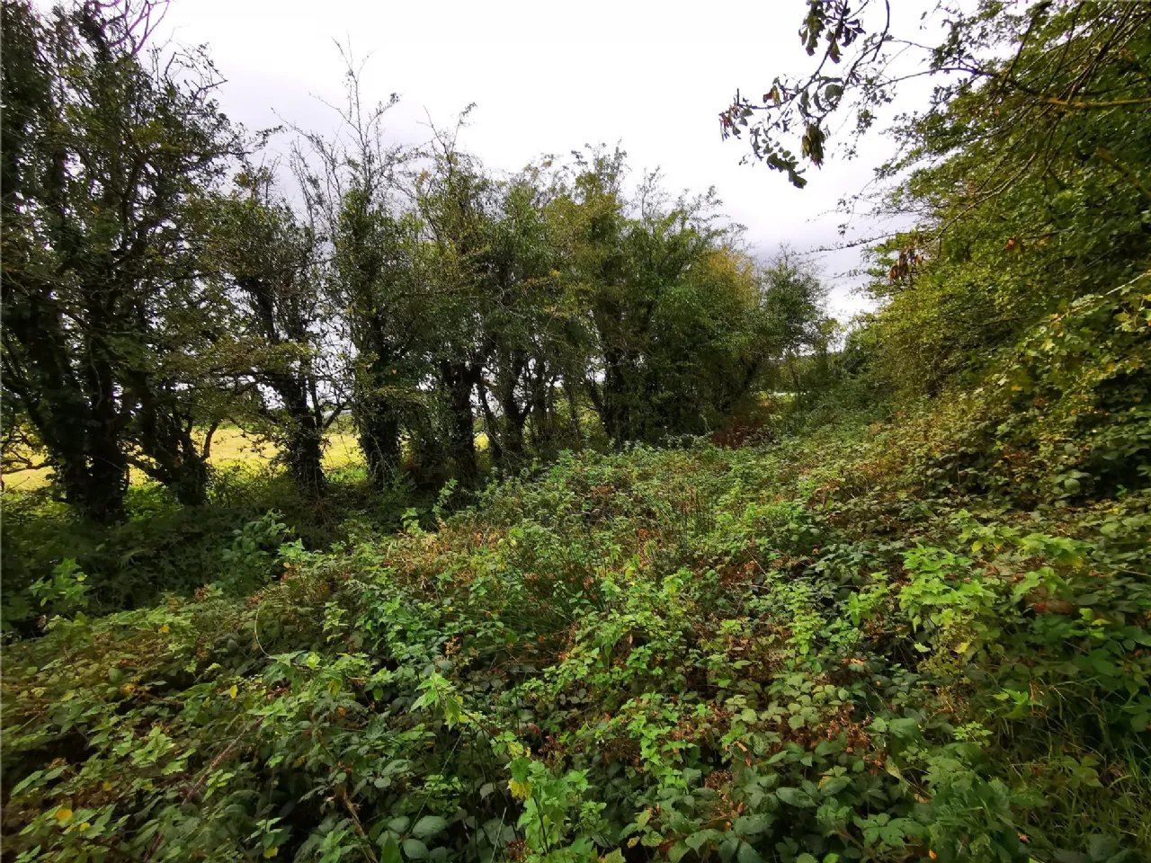 Photo of Knockbrack, Knocknagoshel, Co Kerry, V92 X437
