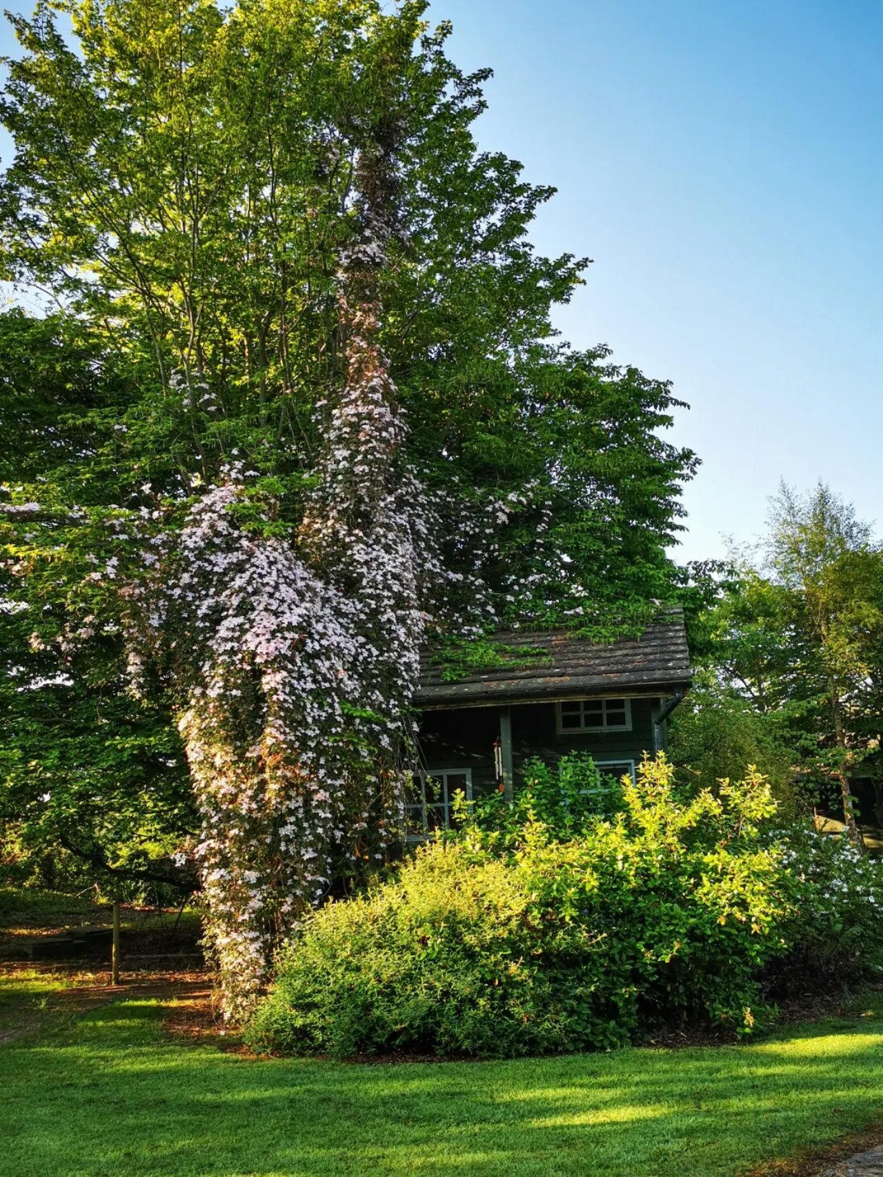 Photo of Littlewood Lodge, Kilbrew, Ashbourne, Co Meath, A84FD93