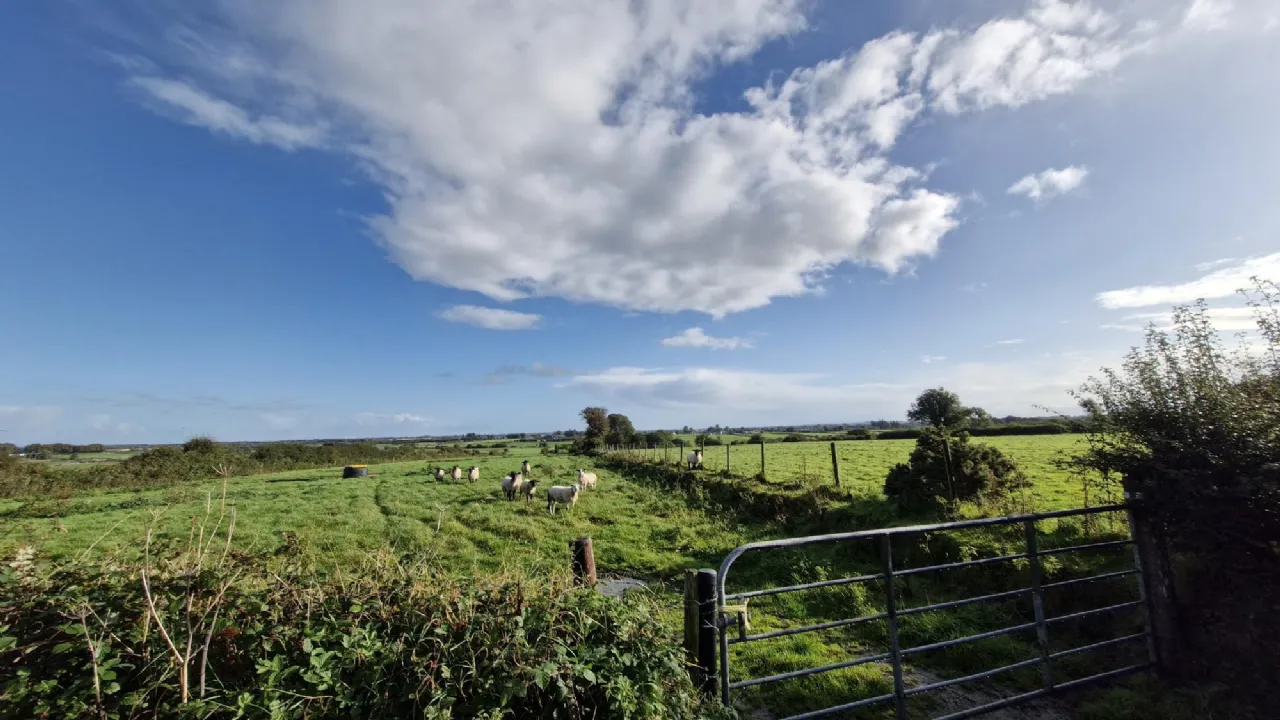 Photo of 112 Acres At Lehid & Kilcreevanty, Tuam, Co. Galway