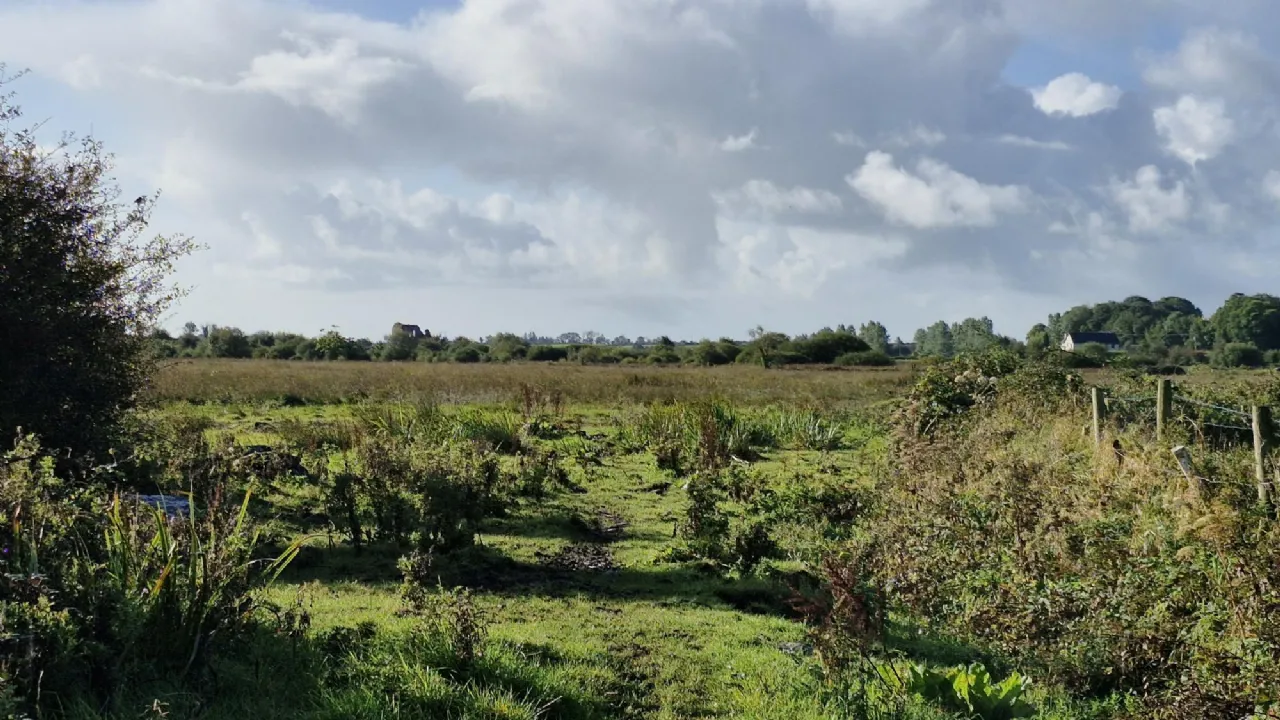 Photo of 112 Acres At Lehid & Kilcreevanty, Tuam, Co. Galway