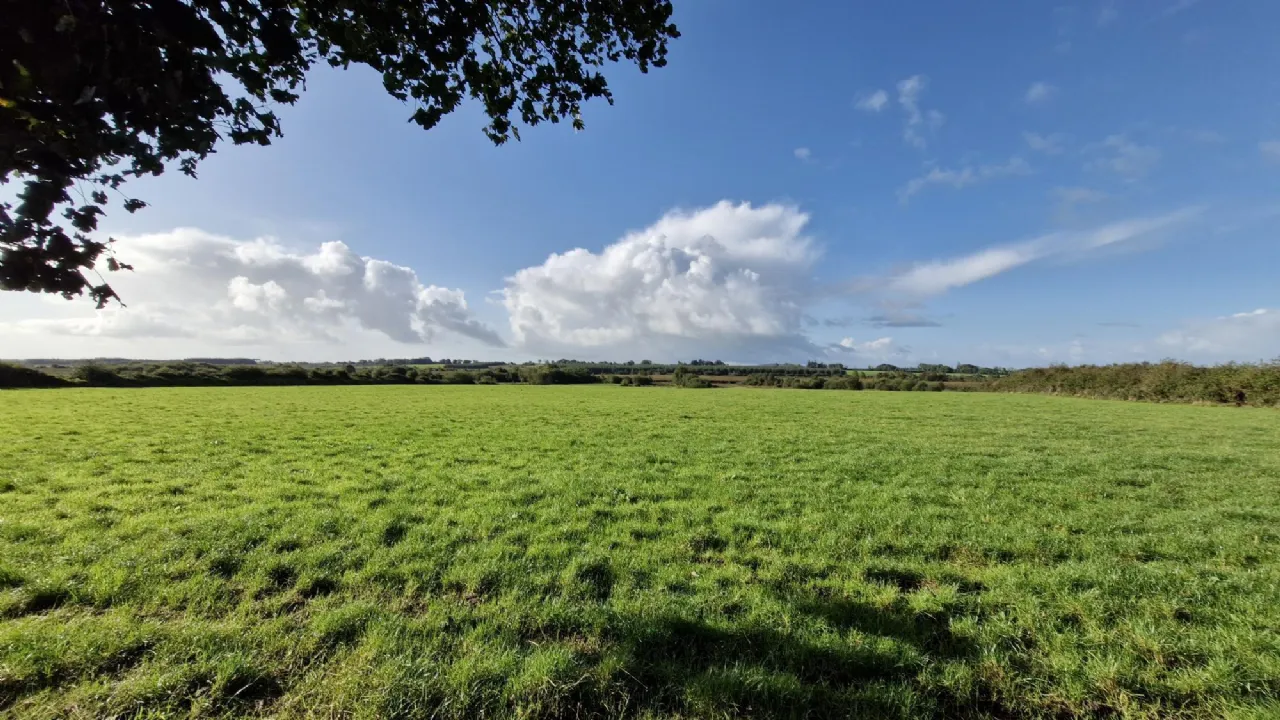 Photo of 112 Acres At Lehid & Kilcreevanty, Tuam, Co. Galway