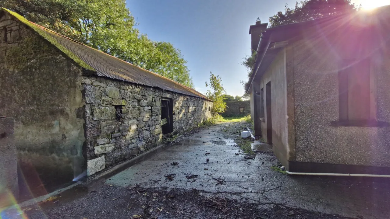 Photo of 112 Acres At Lehid & Kilcreevanty, Tuam, Co. Galway