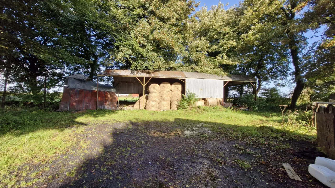 Photo of 112 Acres At Lehid & Kilcreevanty, Tuam, Co. Galway