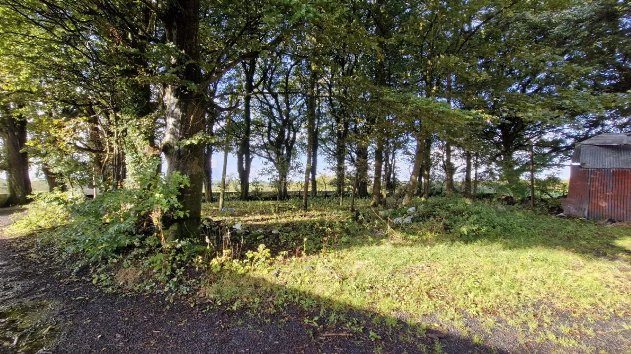 Photo of 112 Acres At Lehid & Kilcreevanty, Tuam, Co. Galway