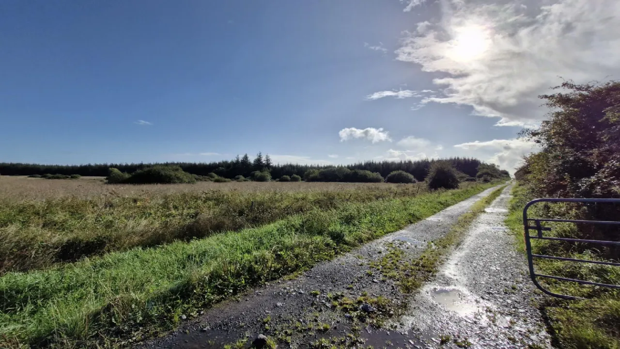 Photo of 112 Acres At Lehid & Kilcreevanty, Tuam, Co. Galway