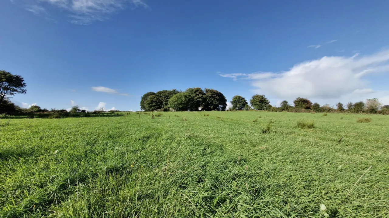 Photo of 112 Acres At Lehid & Kilcreevanty, Tuam, Co. Galway