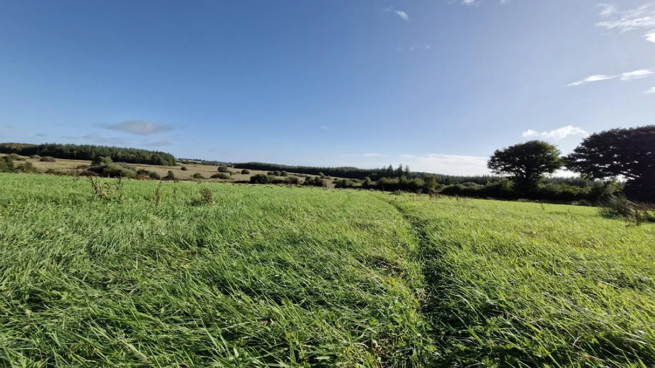 Photo of 112 Acres At Lehid & Kilcreevanty, Tuam, Co. Galway