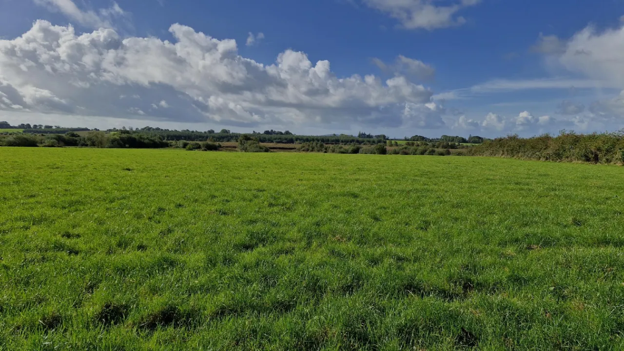 Photo of 112 Acres At Lehid & Kilcreevanty, Tuam, Co. Galway