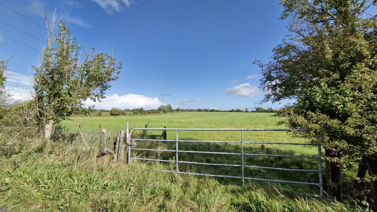 Photo of 112 Acres At Lehid & Kilcreevanty, Tuam, Co. Galway