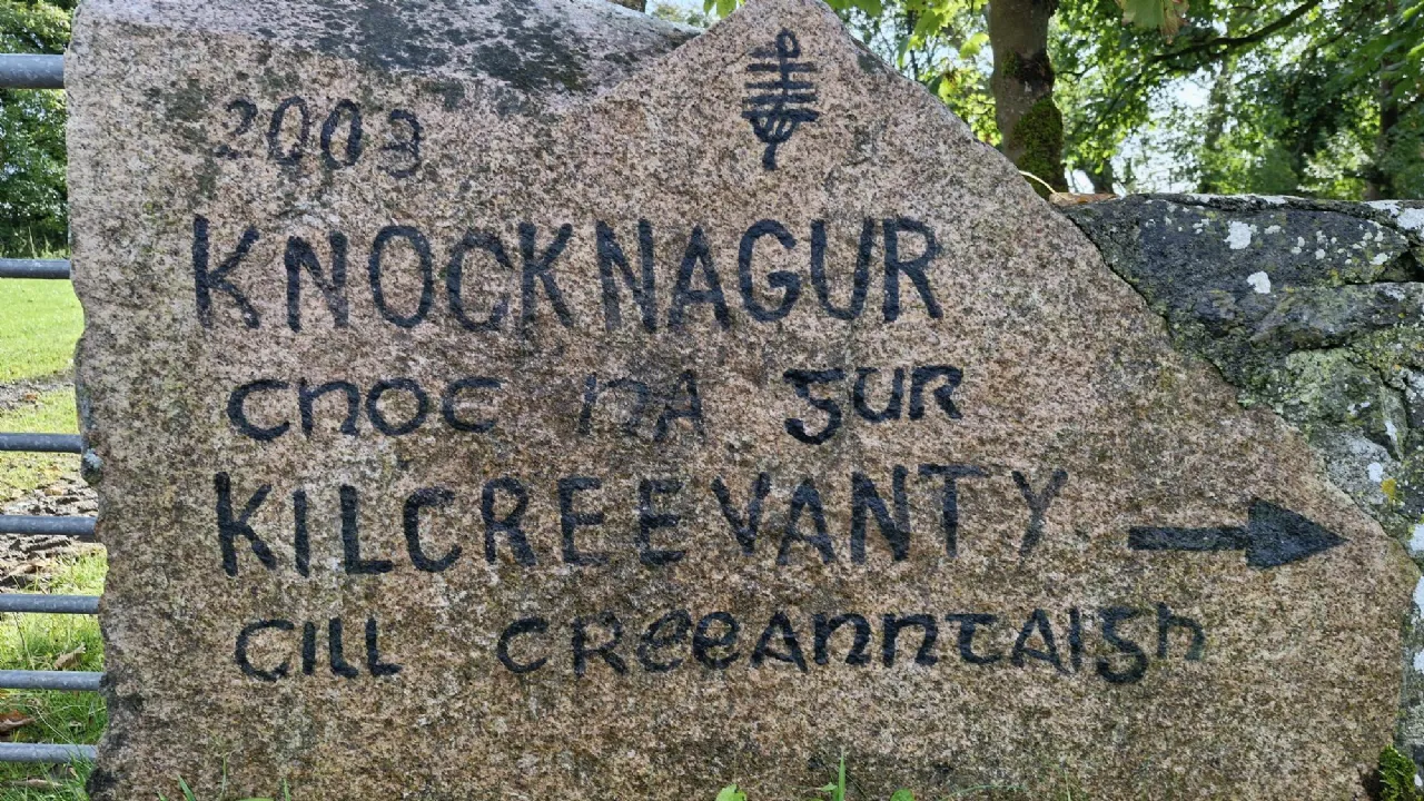 Photo of 112 Acres At Lehid & Kilcreevanty, Tuam, Co. Galway