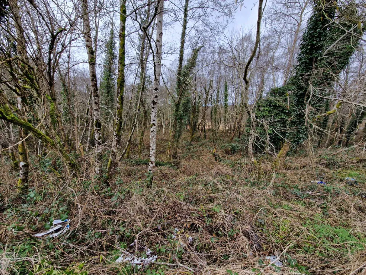 Photo of Sonnagh, Charlestown, Co Mayo