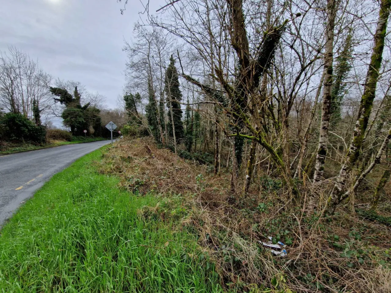 Photo of Sonnagh, Charlestown, Co Mayo