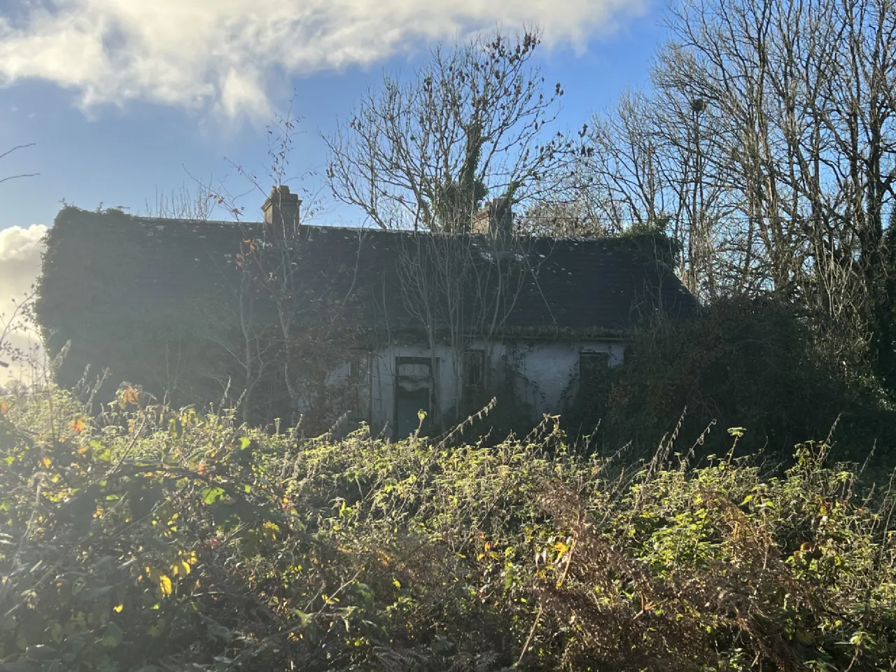 Photo of Brownhall, Balla, Co. Mayo