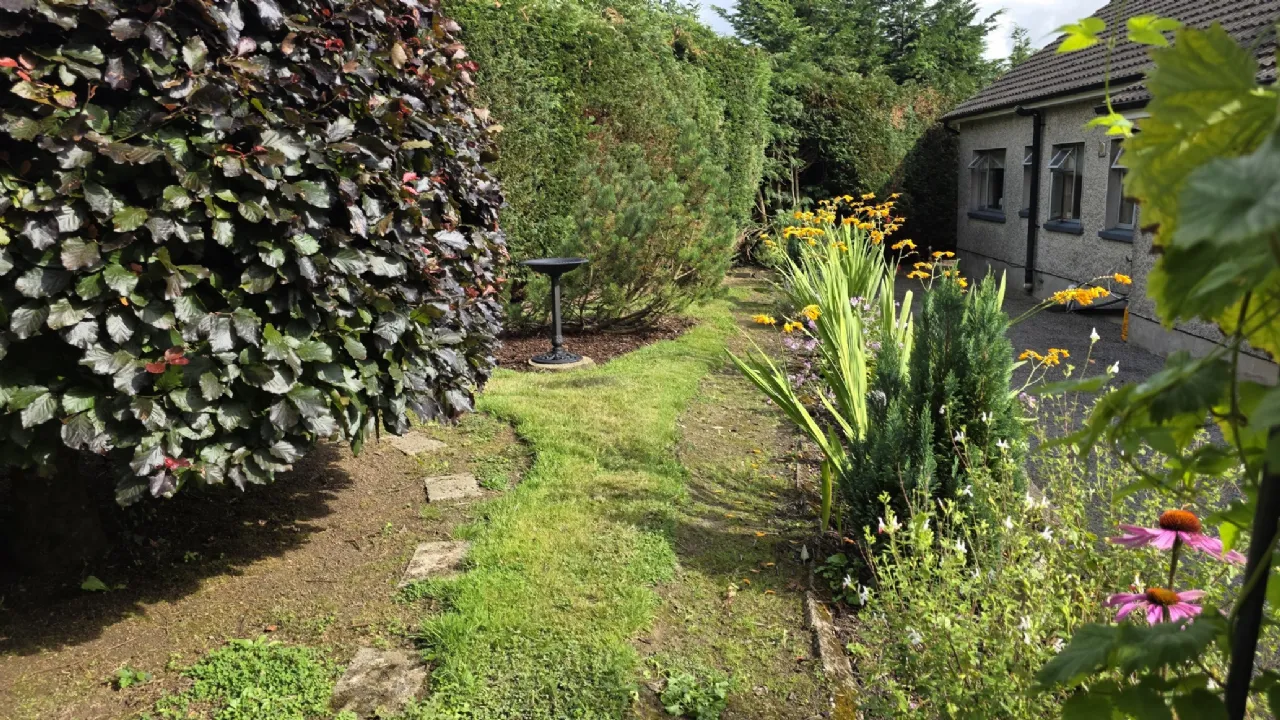 Photo of Chez Nous, Palmershill, Cashel, Co Tipperary, E25WK26