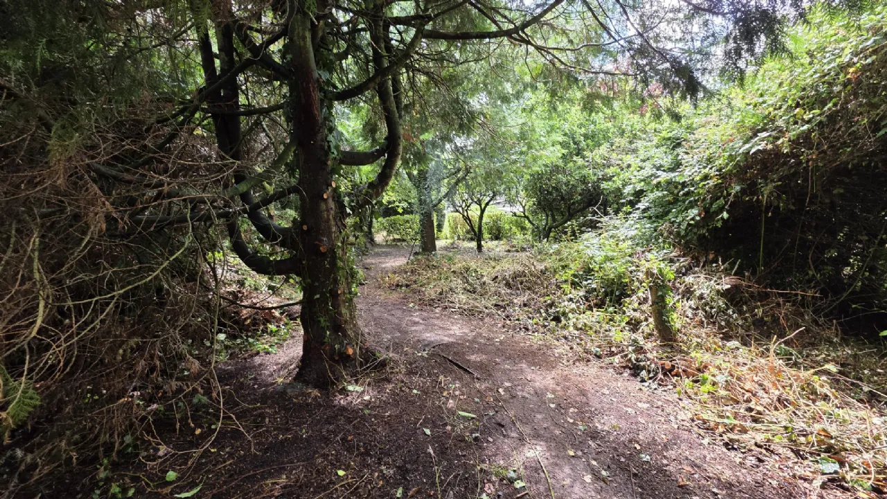 Photo of Chez Nous, Palmershill, Cashel, Co Tipperary, E25WK26