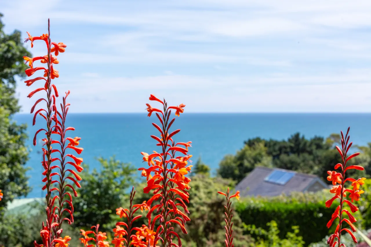 Photo of Kilmore, Kilmore Avenue, Killiney, Co Dublin, A96 F252