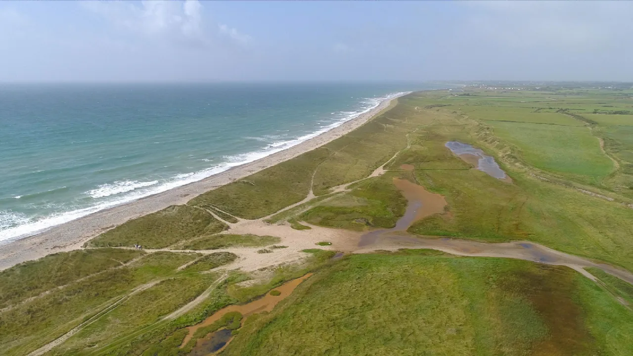 Photo of Ringbawn/Ballagh Land (132.5 Acres), Tacumshin, Co Wexford